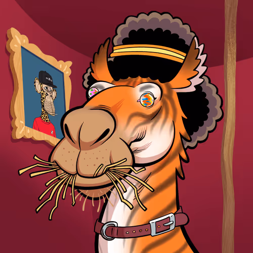 Arabian Camel #2484
