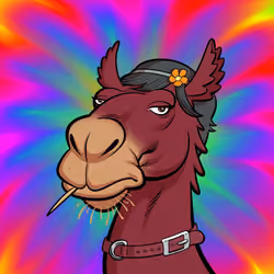 Arabian Camel #8286