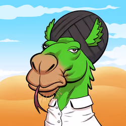 Arabian Camel #3214