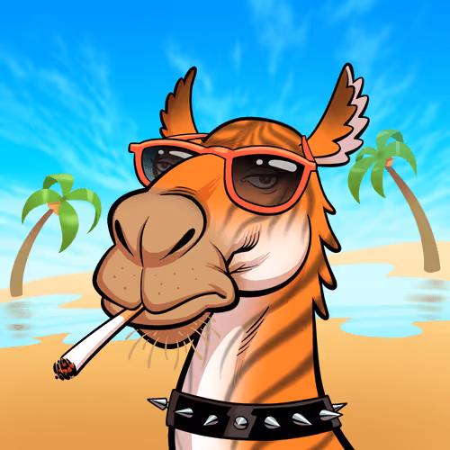 Arabian Camel #100