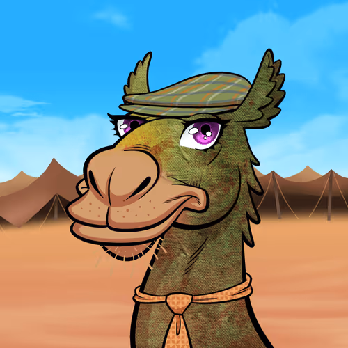 Arabian Camels