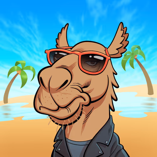 Arabian Camel #8714
