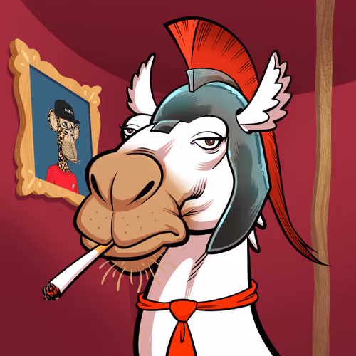 Arabian Camel #10773