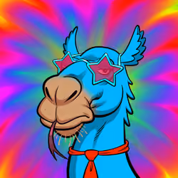 Arabian Camel #11809