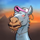 Arabian Camel #1199