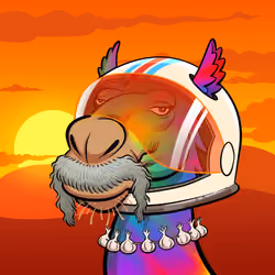 Arabian Camel #224