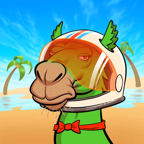 Arabian Camel #1272