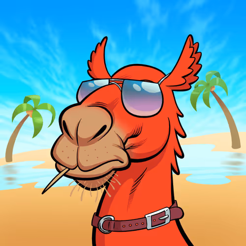 Arabian Camels