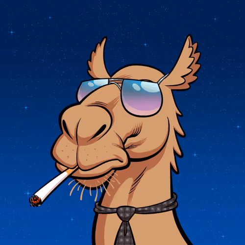 Arabian Camel #6931
