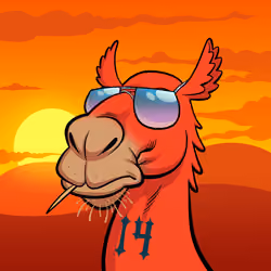 Arabian Camel #4257