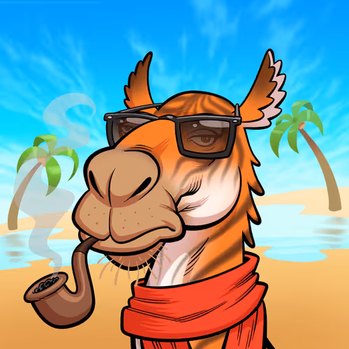 Arabian Camel #3799