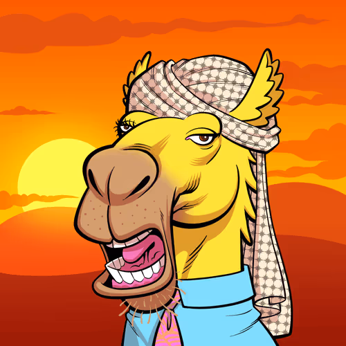 Arabian Camel #11990