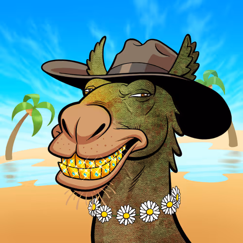 Arabian Camels