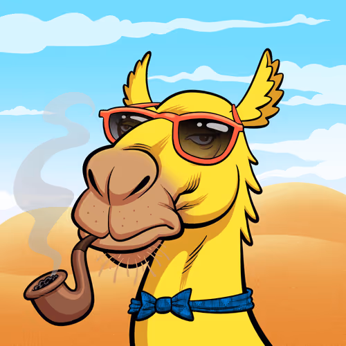 Arabian Camel #1511