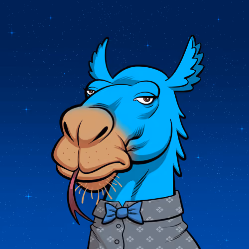 Arabian Camel #4721