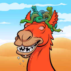 Arabian Camel #9508