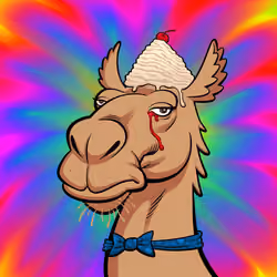 Arabian Camel #11248