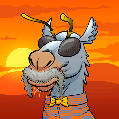 Arabian Camel #11973