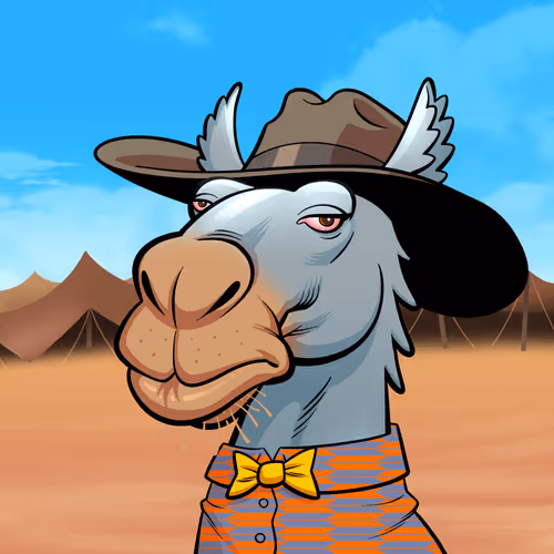 Arabian Camels
