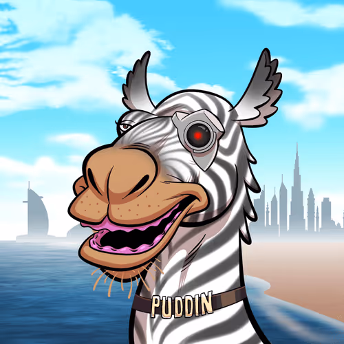 Arabian Camel #2816