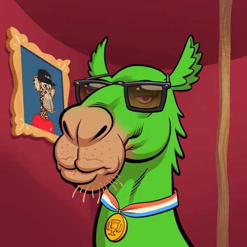 Arabian Camel #1238