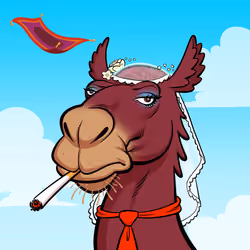 Arabian Camel #208