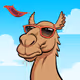 Arabian Camel #4564