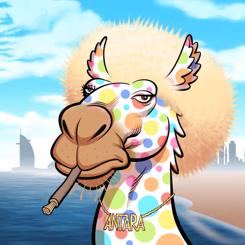 Arabian Camel #5463