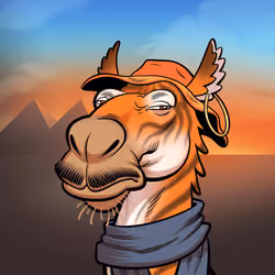 Arabian Camel #5711