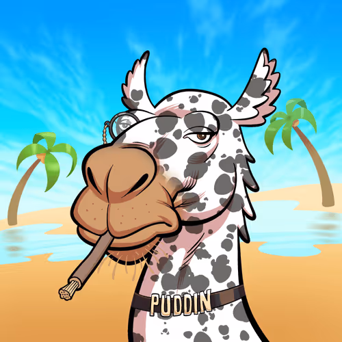 Arabian Camel #1552
