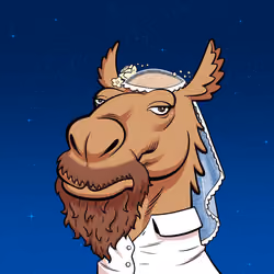 Arabian Camel #6188