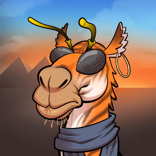 Arabian Camels
