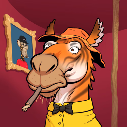 Arabian Camel #1648