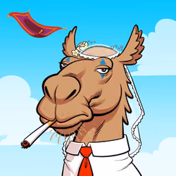 Arabian Camel #300