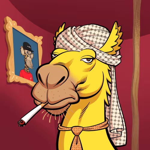 Arabian Camel #10594