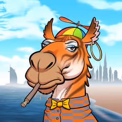 Arabian Camel #2540