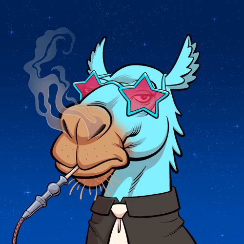 Arabian Camel #8239