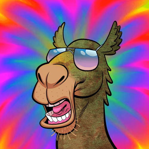 Arabian Camel #2720