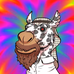 Arabian Camel #7612