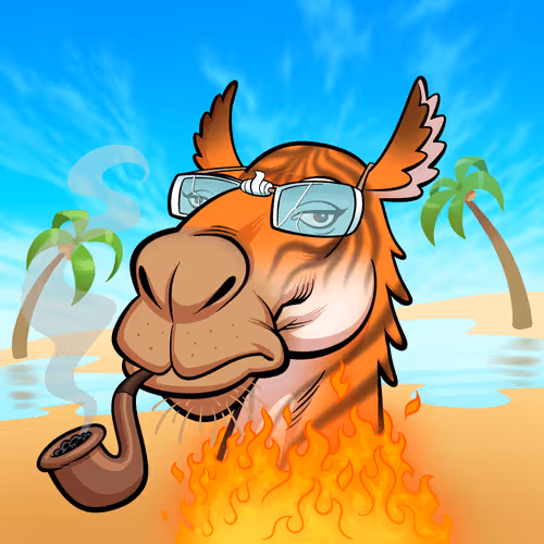 Arabian Camel #1525