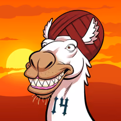 Arabian Camel #8622