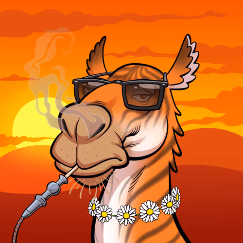 Arabian Camel #7972