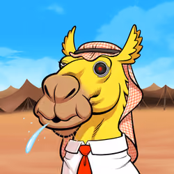 Arabian Camel #11796