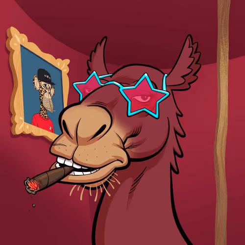 Arabian Camel #8005