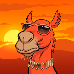 Arabian Camel #5458