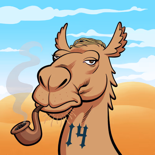 Arabian Camel #8387