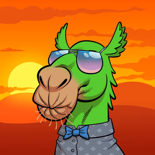 Arabian Camel #11246
