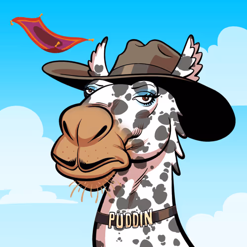 Arabian Camel #9280