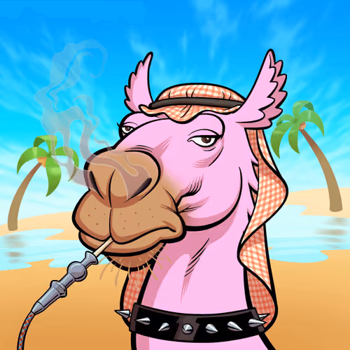 Arabian Camel #11820