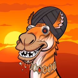Arabian Camel #8423